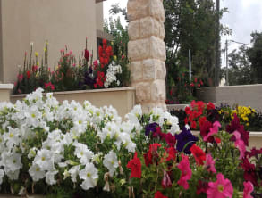 בנחת%20רוח%20-%20צימרים%20במירון%20,%20מירון